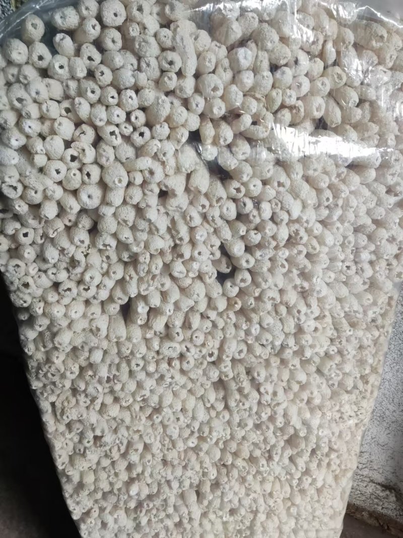 精品竹荪古田竹荪产地直发品质高价格好欢迎来电