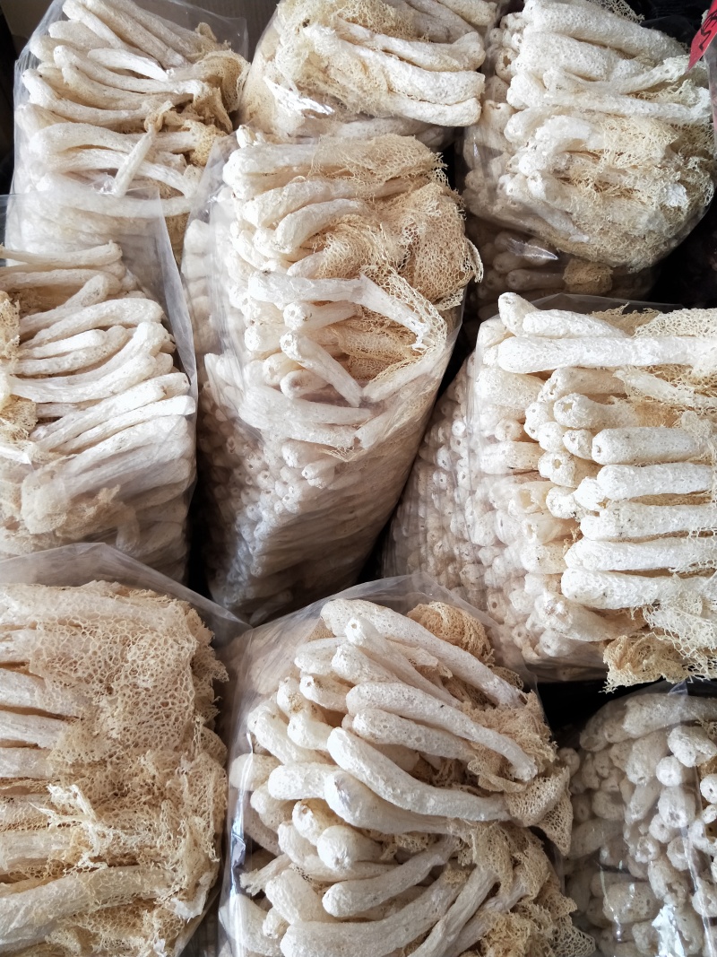 精品竹荪古田竹荪产地直发品质高价格好欢迎来电