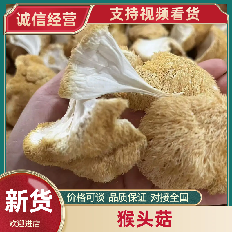 古田精品猴头菇产地直供质量保证货源充足欢迎选购