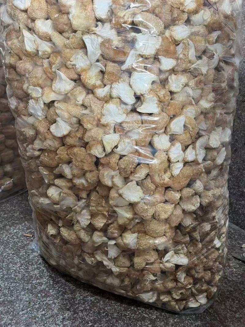 古田精品猴头菇产地直供质量保证货源充足欢迎选购