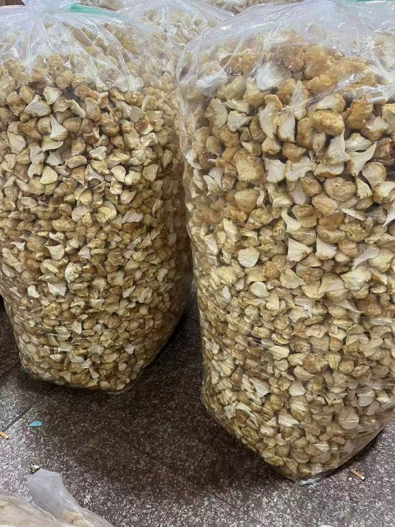 古田精品猴头菇产地直供质量保证货源充足欢迎选购