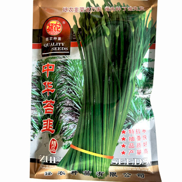四季韭苔中华苔韭种子籽大田分蘖抗寒耐热耐寒阳台韭菜种孑