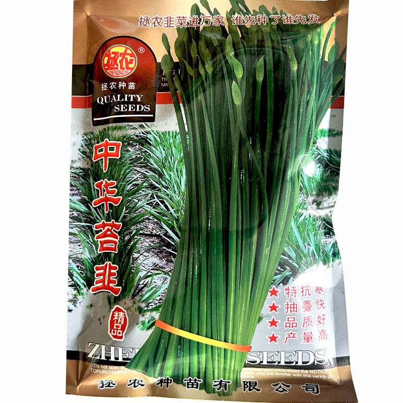 四季韭苔中华苔韭种子籽大田分蘖抗寒耐热耐寒阳台韭菜种孑