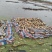 精品鄂莲6号莲藕3735产地直供提供一条龙服务欢迎咨询