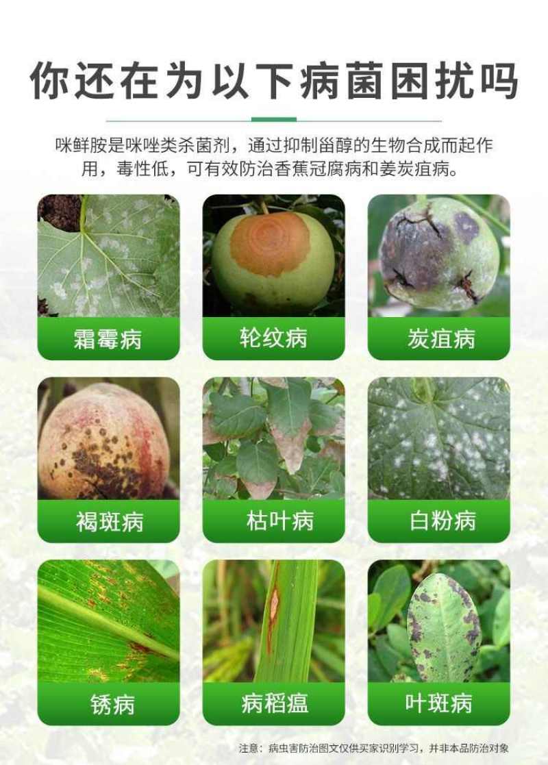 咪鲜胺杀菌剂防治炭疽病青霉病等