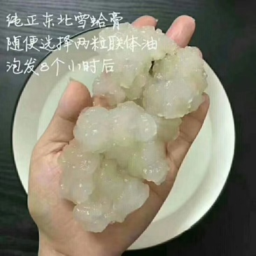 吉林长白山林蛙油雪蛤油精品林蛙干油质量优量大可谈