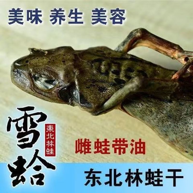 吉林长白山林蛙油雪蛤油精品林蛙干油质量优量大可谈
