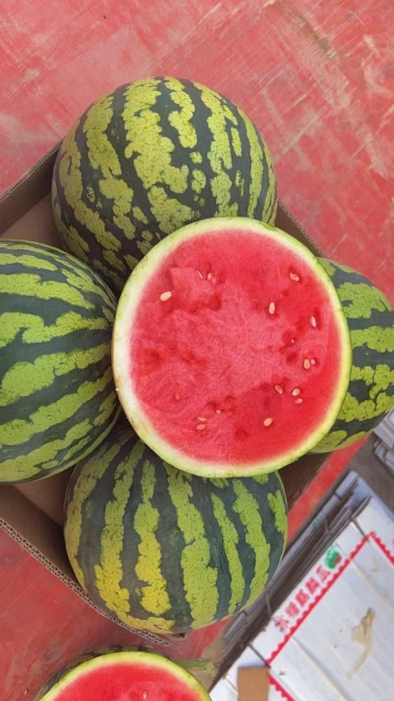 西瓜产地直发精品美都麒麟西瓜电商市场商超货源