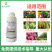 异菌腐霉利杀菌剂果树蔬菜灰霉病霜霉病叶霉病菌核病防治