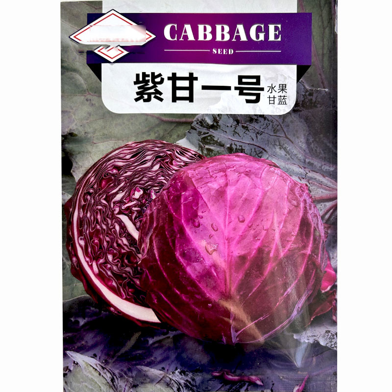 紫甘蓝种子水果甘蓝紫甘蓝1号种子包菜种籽紫红色圆球形甘兰