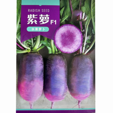 冰淇淋萝卜种子水果萝卜籽冰激凌紫皮肉紫红色四季凤梨味紫萝