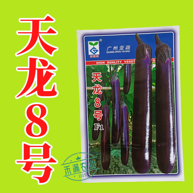 亚蔬天龙8号茄子种子紫红粗茄良种早春种植抗病大棚大田蔬菜