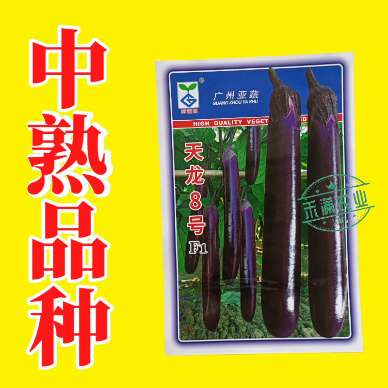 亚蔬天龙8号茄子种子紫红粗茄良种早春种植抗病大棚大田蔬菜