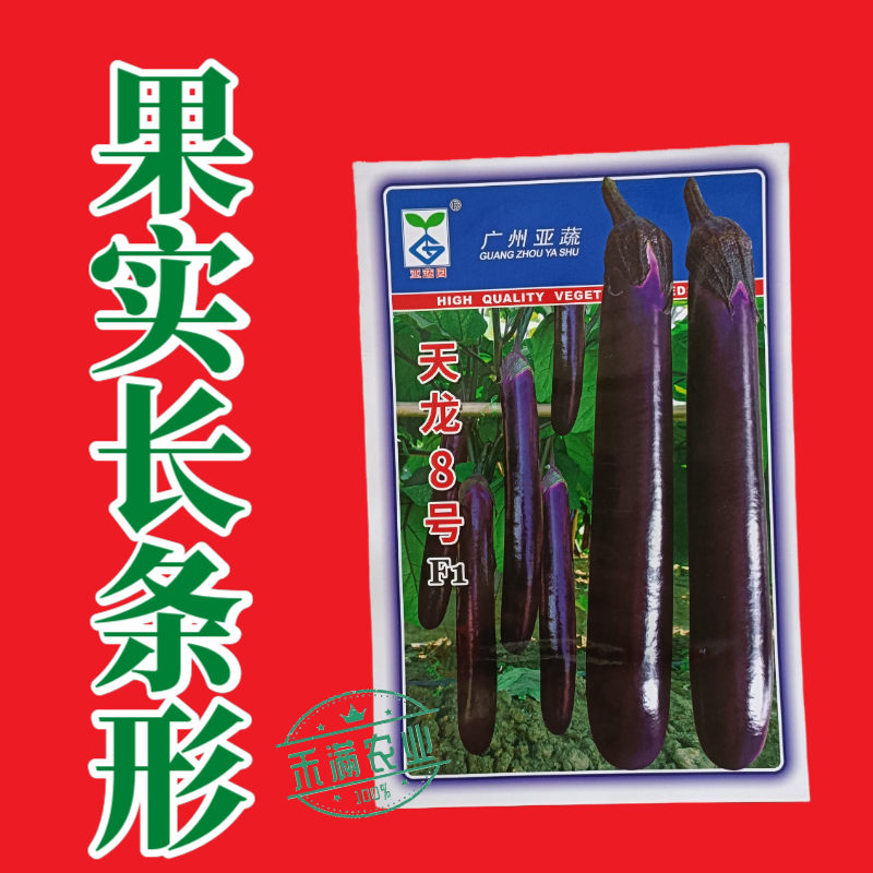 亚蔬天龙8号茄子种子紫红粗茄良种早春种植抗病大棚大田蔬菜