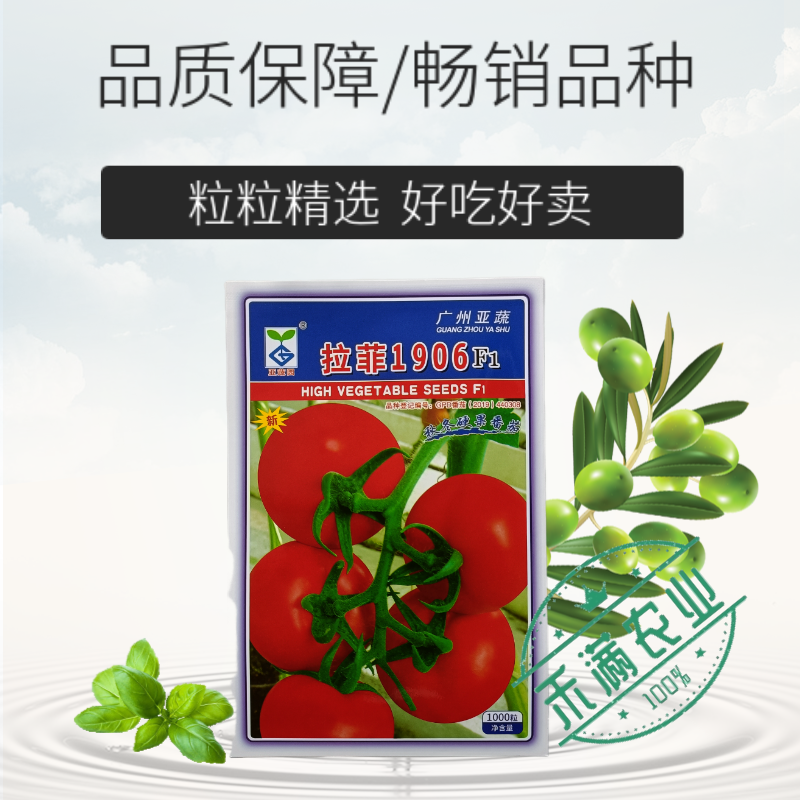 亚蔬拉菲1906精品番茄种子大红果无限生长高产抗病水果西