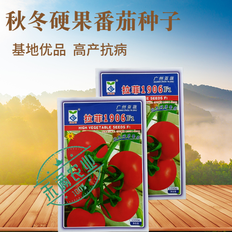 亚蔬拉菲1906精品番茄种子大红果无限生长高产抗病水果西