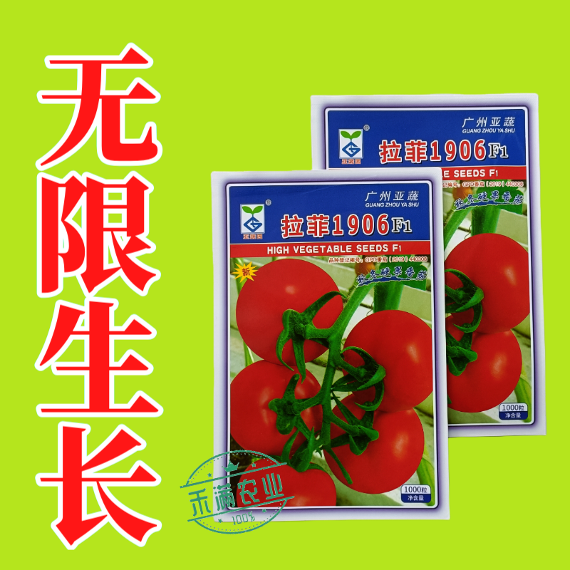 亚蔬拉菲1906精品番茄种子大红果无限生长高产抗病水果西