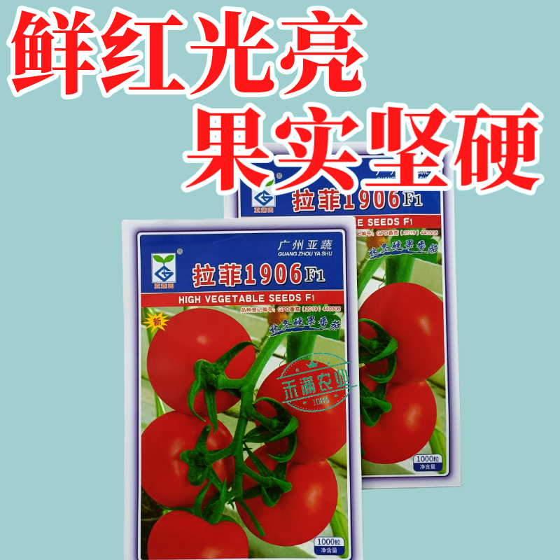 亚蔬拉菲1906精品番茄种子大红果无限生长高产抗病水果西