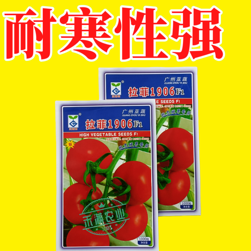 亚蔬拉菲1906精品番茄种子大红果无限生长高产抗病水果西