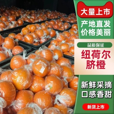 纽荷尔脐橙橙子产地直发品质保障对接商超市场社区等
