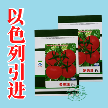 早春高端亚蔬多美瑞大红果番茄种子无限生长高产抗病西红柿大