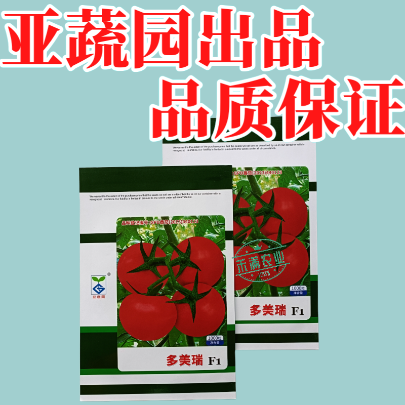 早春高端亚蔬多美瑞大红果番茄种子无限生长高产抗病西红柿大