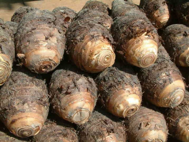 香芋皮表面带有细小绒毛和天然纹理,颜色呈灰褐色 香芋皮特写