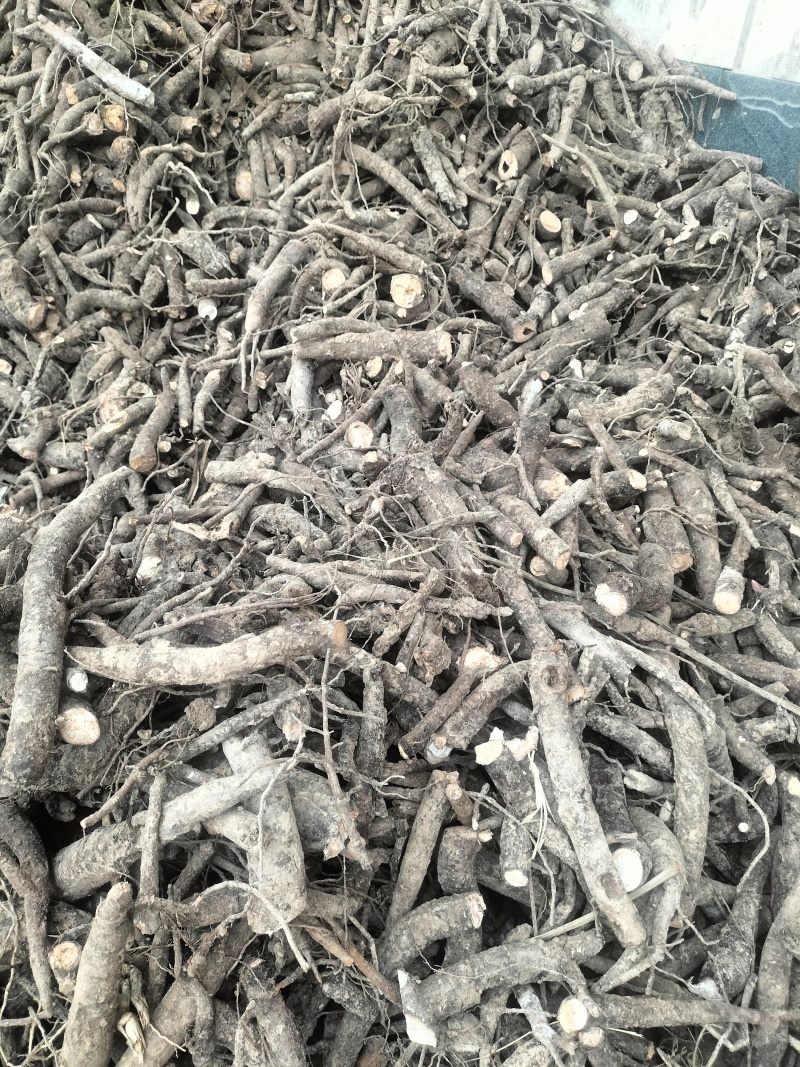 【实力推荐】白芍品质保证可视频看货对接全国一手货源