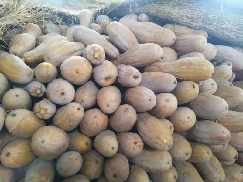 【实力】湖南金韩密本南瓜老南瓜供应电商市场食堂工厂