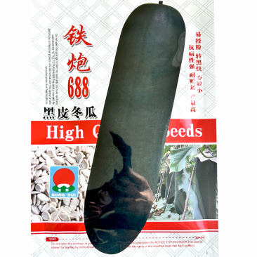 黑皮冬瓜铁炮688超大高产冬瓜种子特大抗病巨型大冬瓜