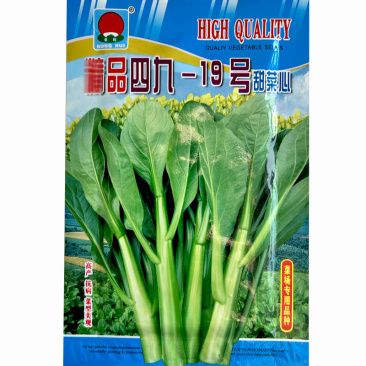四季甜菜心种子春夏秋冬季广东四九菜心青菜种子