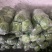 甘蓝山东包菜刚白菜大量供应对接全国市场电商