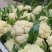 精品松花菜菜花有机散花实花青梗白面小米粒一手货