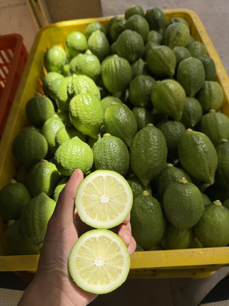 【香水柠檬】广西柠檬无擦伤机械伤按需求分拣打包承接电商
