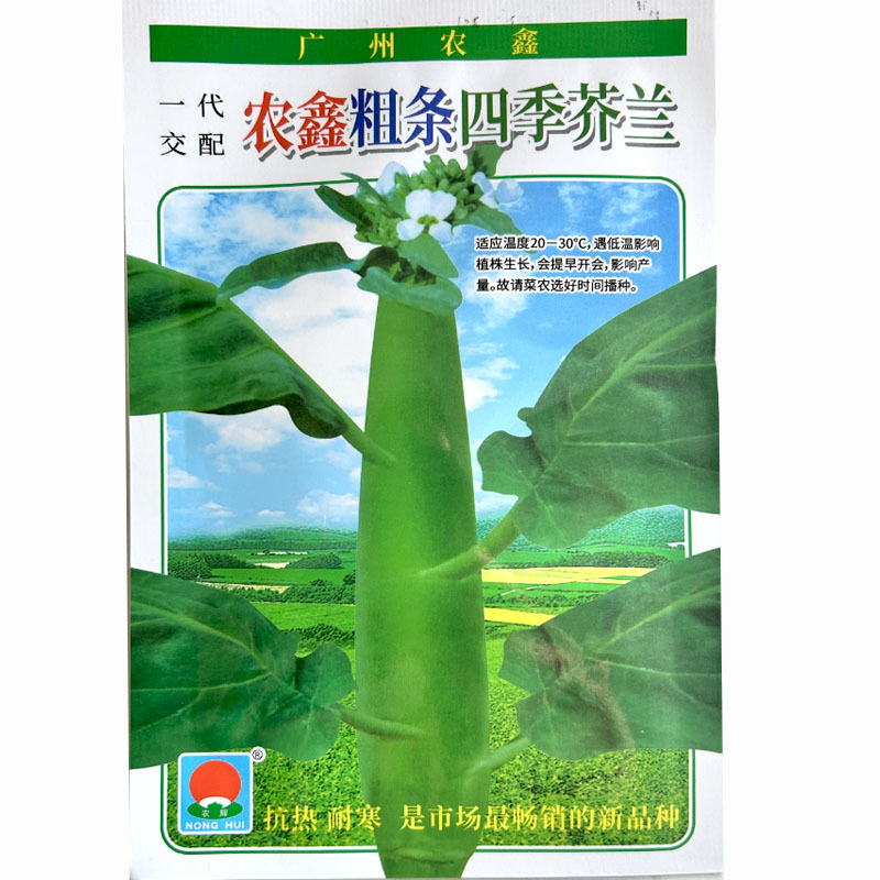 甜脆鸡腿芥蓝种子粗条籽芥兰广东早熟白花四季种植