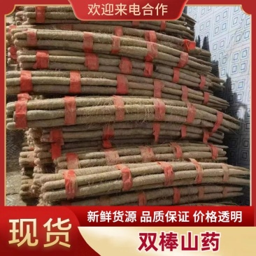 精品双棒山药产地直供规格齐全货源充足欢迎咨询