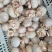 肚包肉工厂直发一手货源供应电商市场商超