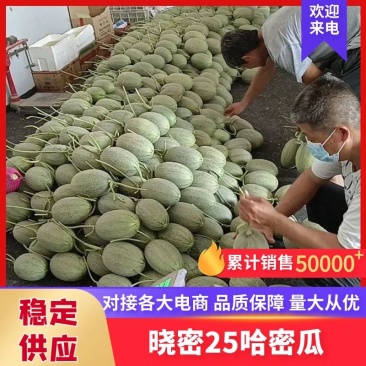 海南哈密瓜,一首货源,量大从优,欢迎咨询,致电有优惠