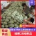 海南哈密瓜,一首货源,量大从优,欢迎咨询,致电有优惠