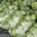 甘蓝大量现货。供货稳定一手资源