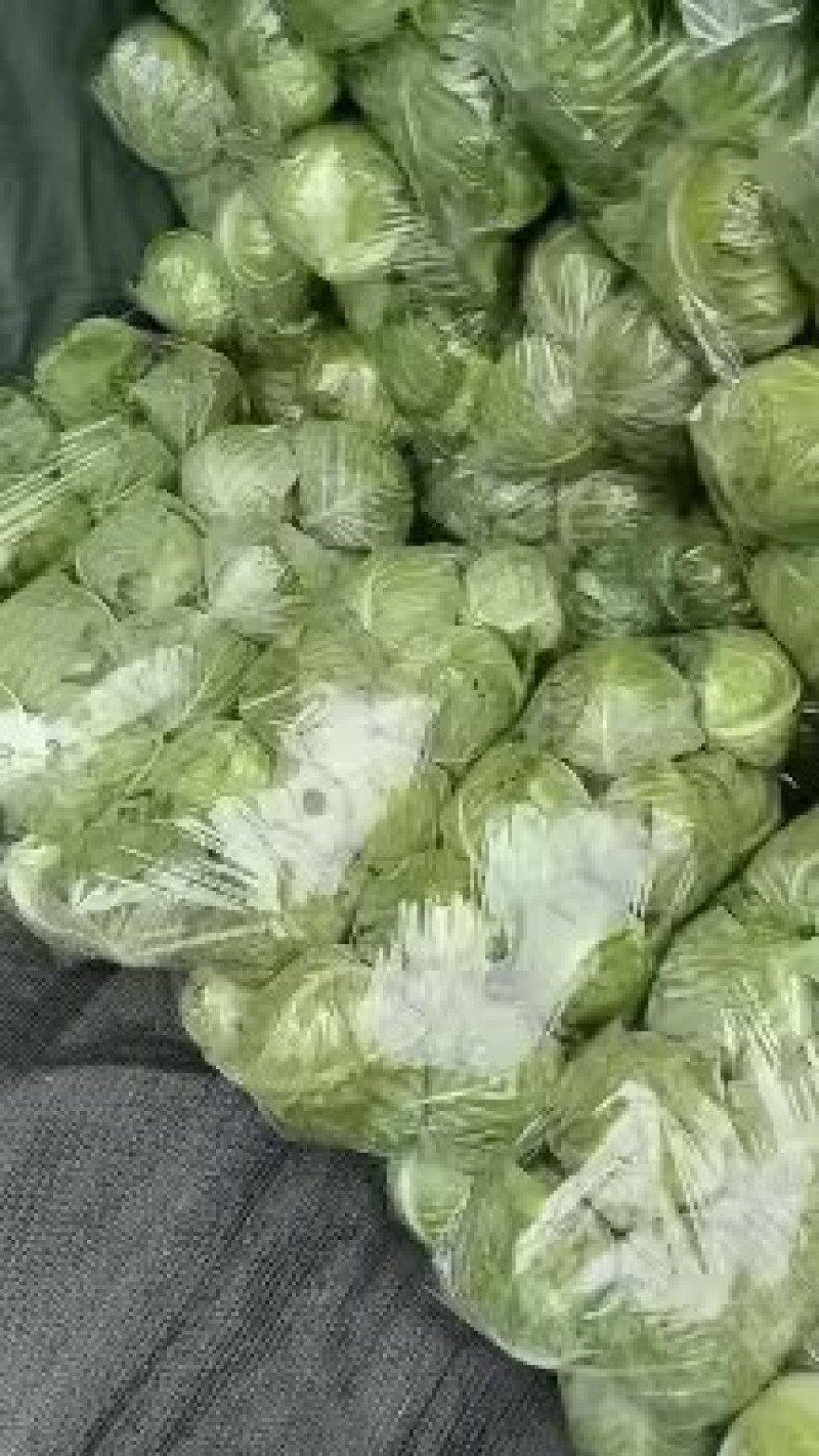 甘蓝大量现货。供货稳定一手资源
