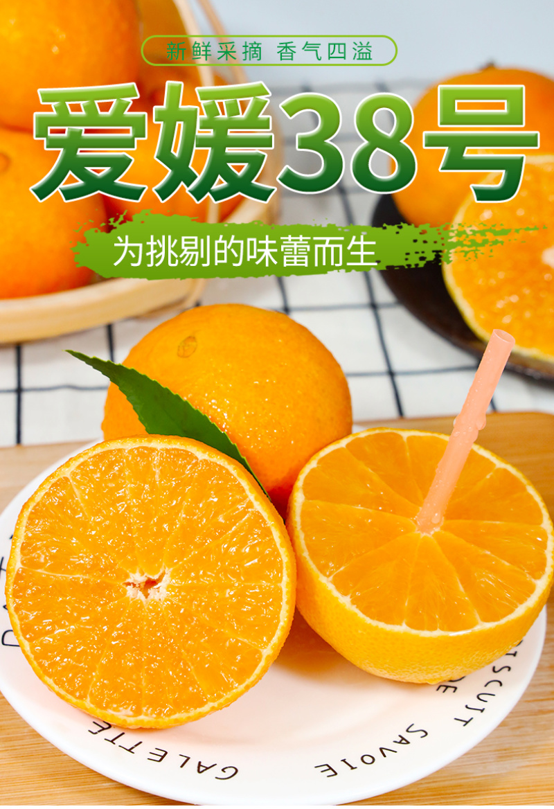 四川爱媛38号果冻橙一件代发当季薄皮橙子电商供应