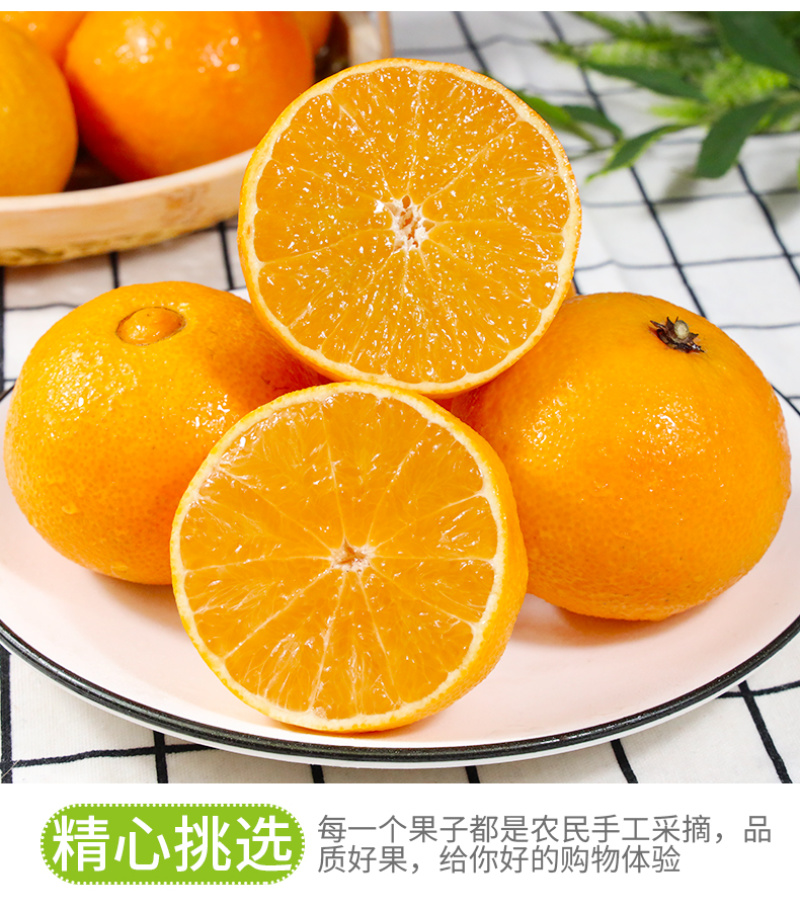 四川爱媛38号果冻橙一件代发当季薄皮橙子电商供应