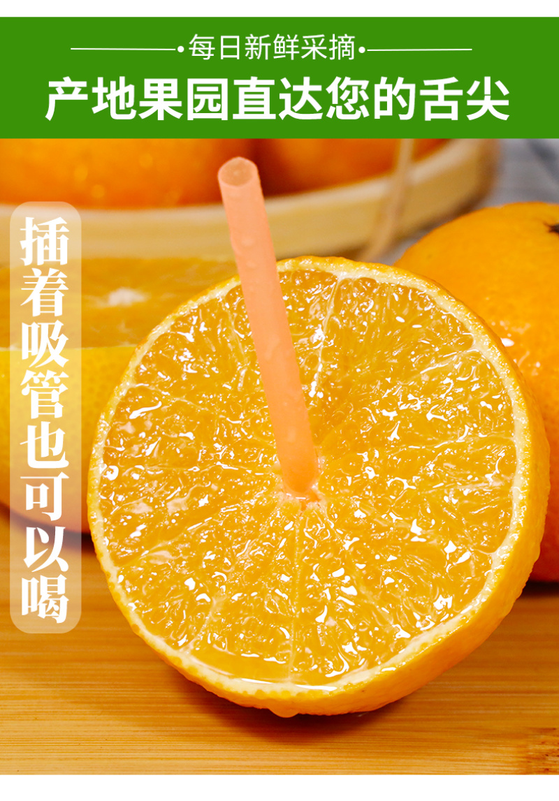 四川爱媛38号果冻橙一件代发当季薄皮橙子电商供应