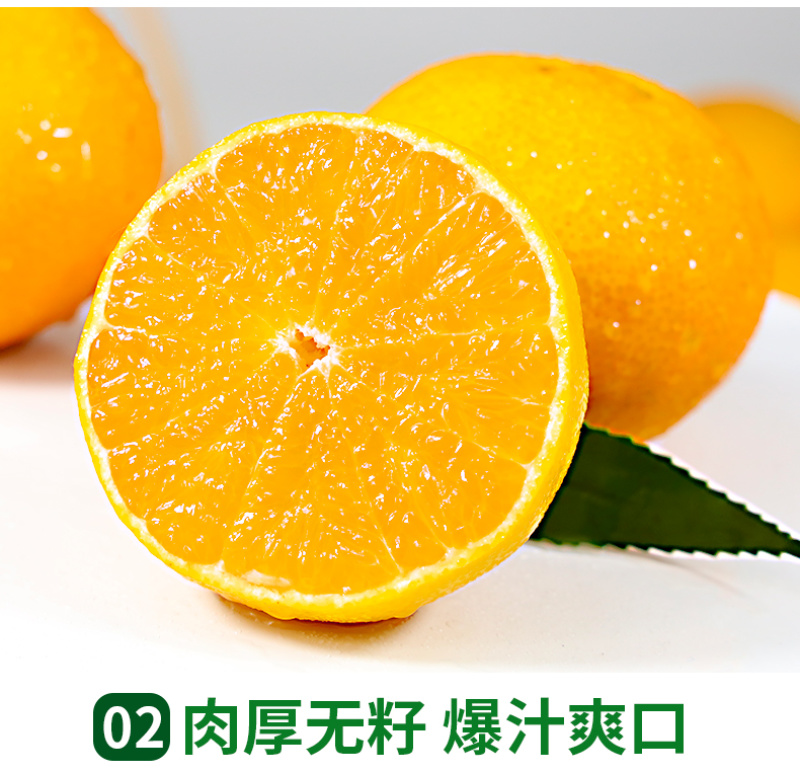 四川爱媛38号果冻橙一件代发当季薄皮橙子电商供应