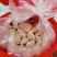 桉树肥46含量控释肥大颗粒桶肥肥料厂家现货直发