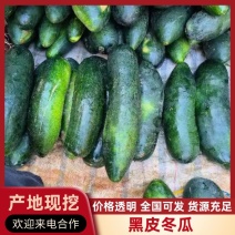 【实力】黑皮冬瓜吊地瓜加长版本十斤起步量大价优
