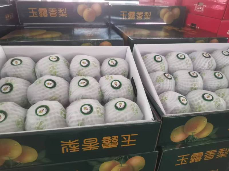 【一件代发】山西玉露香梨正宗香梨礼盒装原产地直供一口爆汁