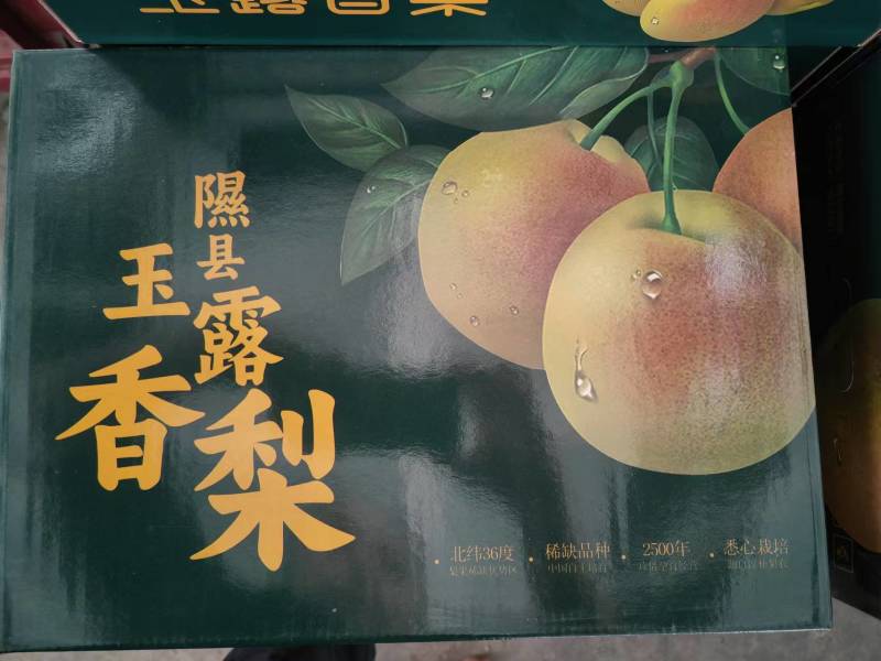 【一件代发】山西玉露香梨正宗香梨礼盒装原产地直供一口爆汁