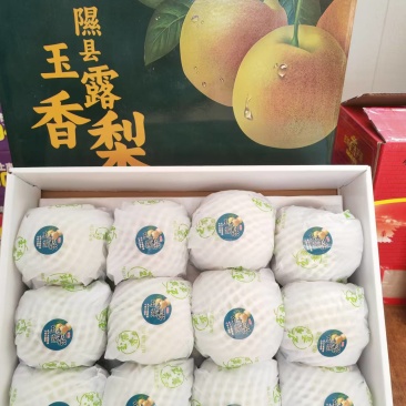【一件代发】山西玉露香梨正宗香梨礼盒装原产地直供一口爆汁